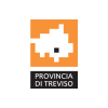 Municipality of Treviso's logo, a city working with DV Ticketing